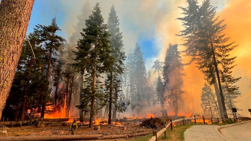 Exclusive: California fire officials and FBI are targeting illegal drones near wildfire emergencies | CNN - NewsOpener