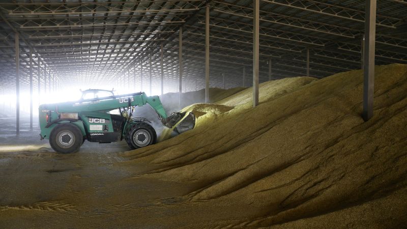 Opinion: How Putin's stranglehold of wheat ripples across the globe | CNN - NewsOpener