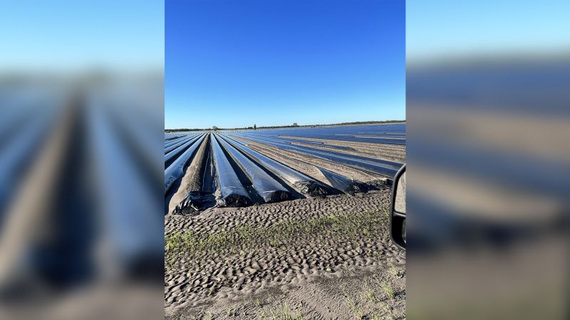 Florida farms are underwater and without power, pushing back critical planting season | CNN Business - NewsOpener