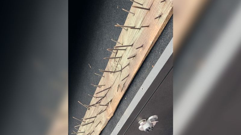 Site of Atlanta's proposed 'Cop City' training center is partially closed after deadly traps found | CNN - Activism Site of Atlanta’s proposed ‘Cop City’ training center is partially closed after deadly traps found | CNN