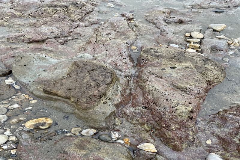 Ancient Dinosaur Tracks Revealed On Isle Of Wight S Beach