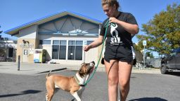 Izzy Zalenski, right, walks Paul outside the Yellowstone Valley Animal Shelter in Montana on September 12, 2025.