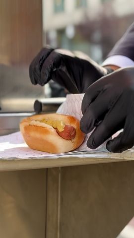 Hot Dog Lawyer Clean VRTC.jpg