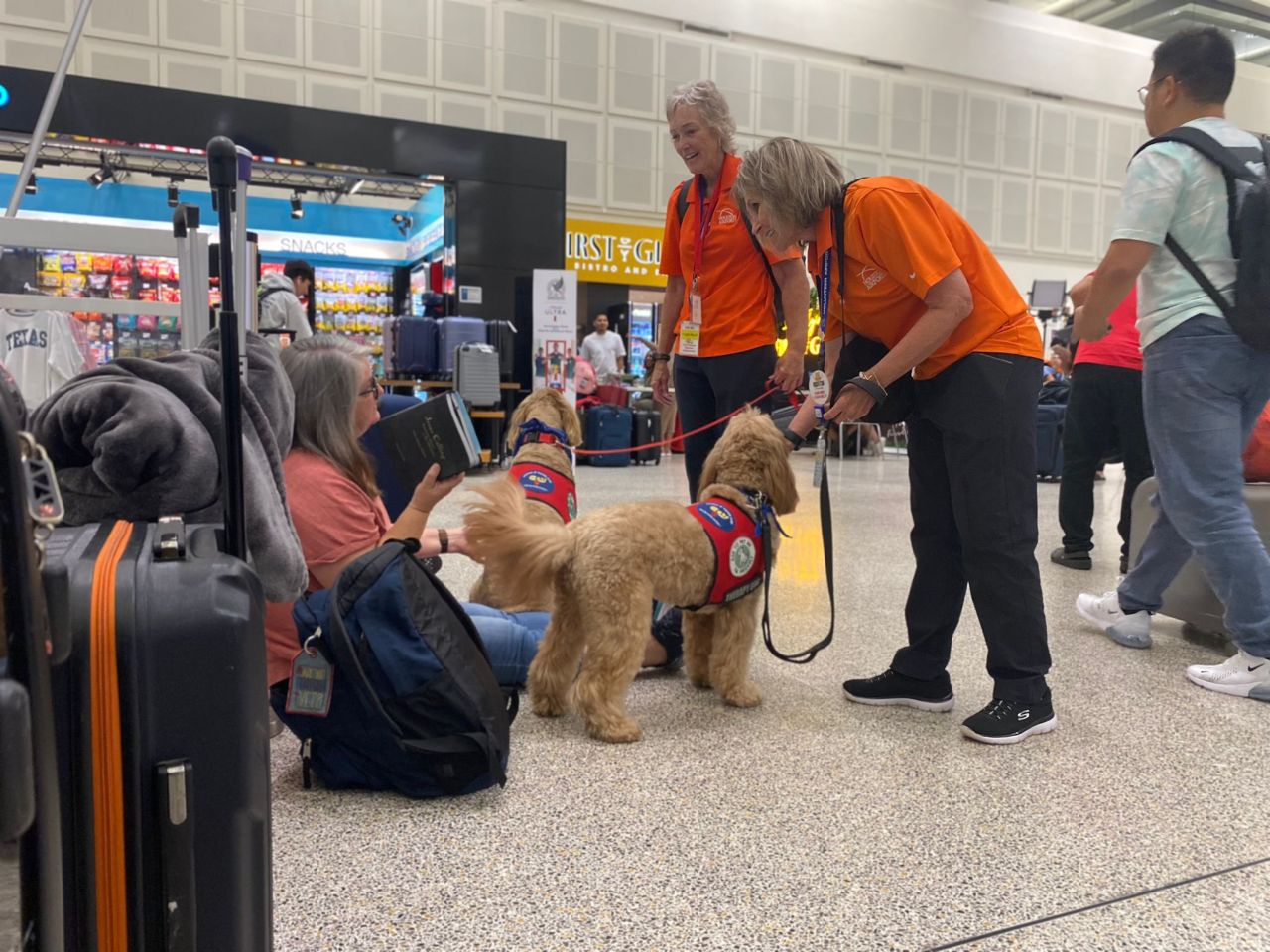 Therapy dogs work at George Bush Intercontinental Airport in Houston on July 19.