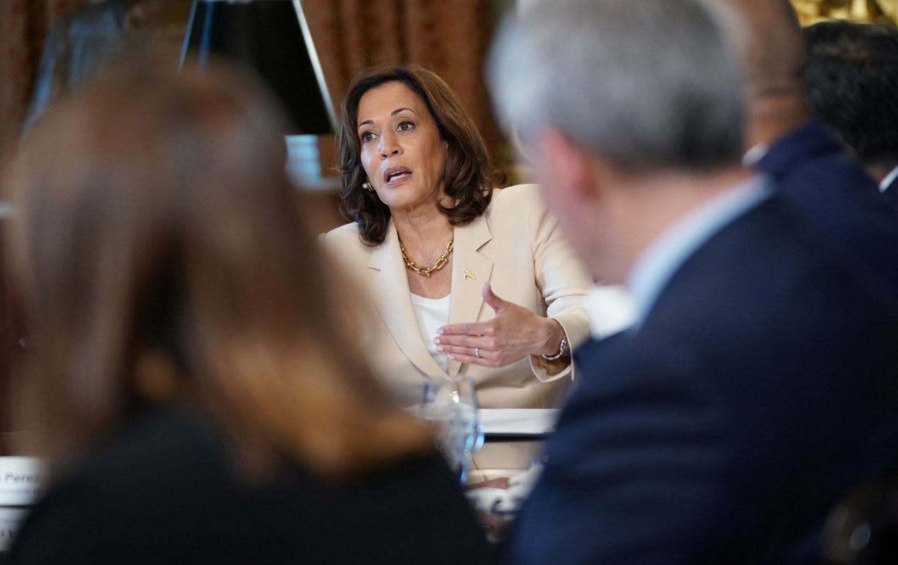 Vice President Kamala Harris speaks during a meeting at the White House in July 2023.