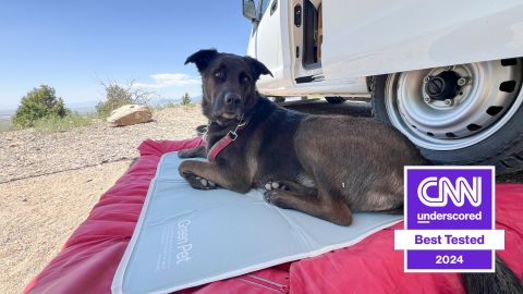 best-dog-cooling-mat-cnnu.jpg