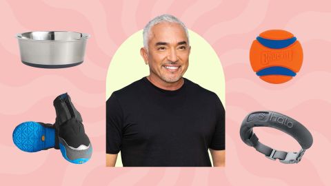 cesar-millan-essentials.jpg