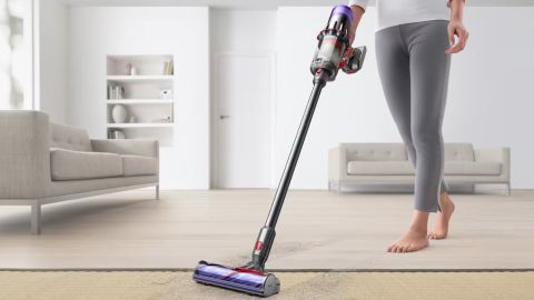 dyson-lead-110524.jpg