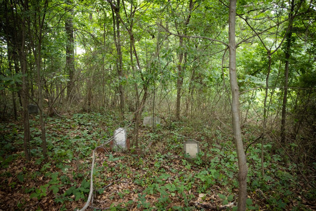 Headstones at the Piney Grove Cemetery are seen amid trees and overgrowth.