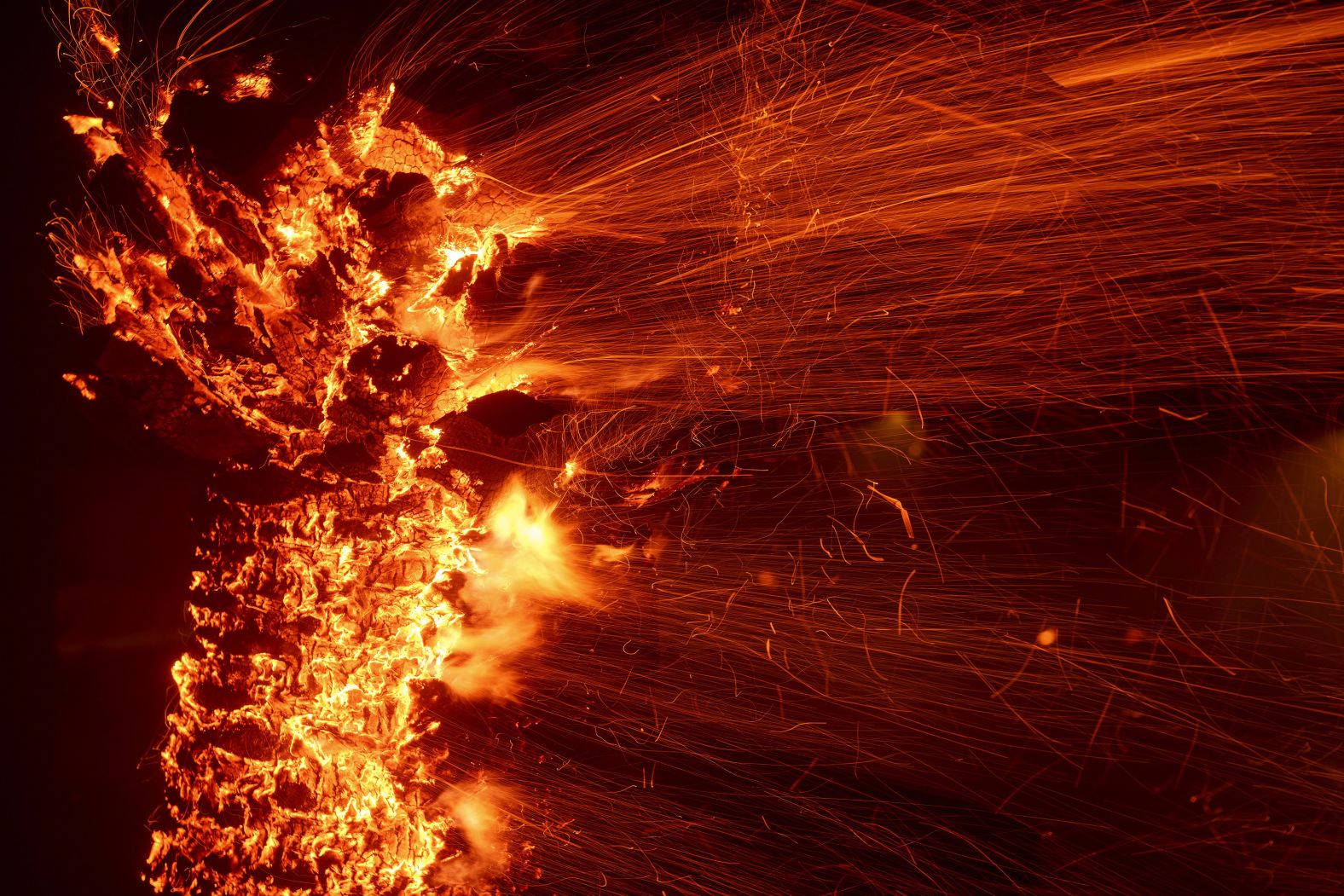 A tree burns in the Franklin Fire on Tuesday.