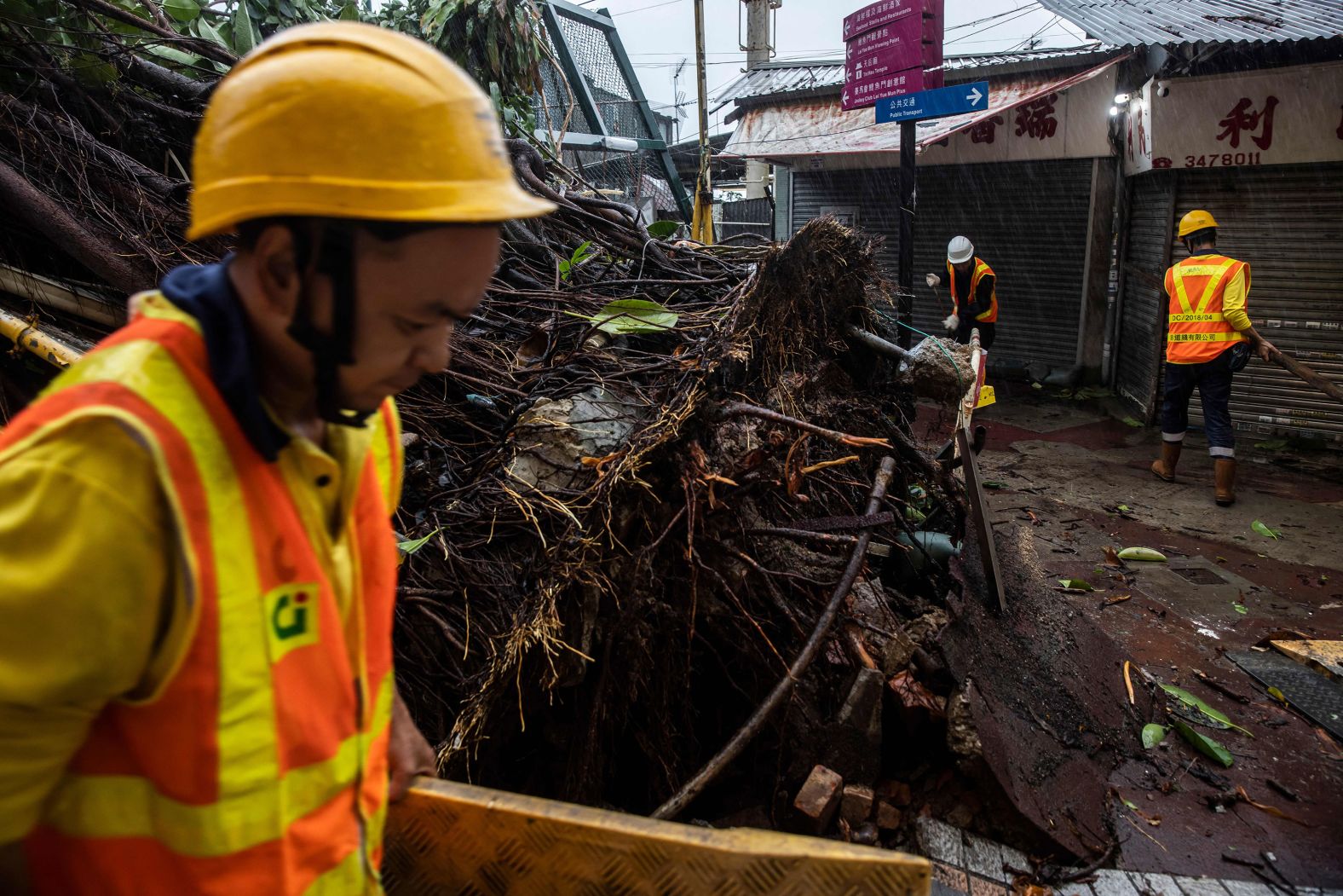 Workers clean up around a fallen tree in Hong Kong on Saturday, September 2. The tree was downed by <a href="https://www.cnn.com/2023/08/31/asia/hong-kong-china-macau-typhoon-saola-intl-hnk/index.html">Typhoon Saola</a>, the strongest typhoon Hong Kong has seen in five years.