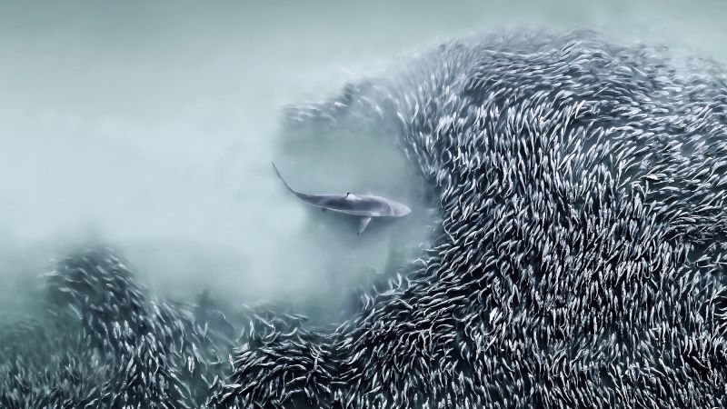 Stunning images from the 2025 International Aerial Photographer of the Year contest