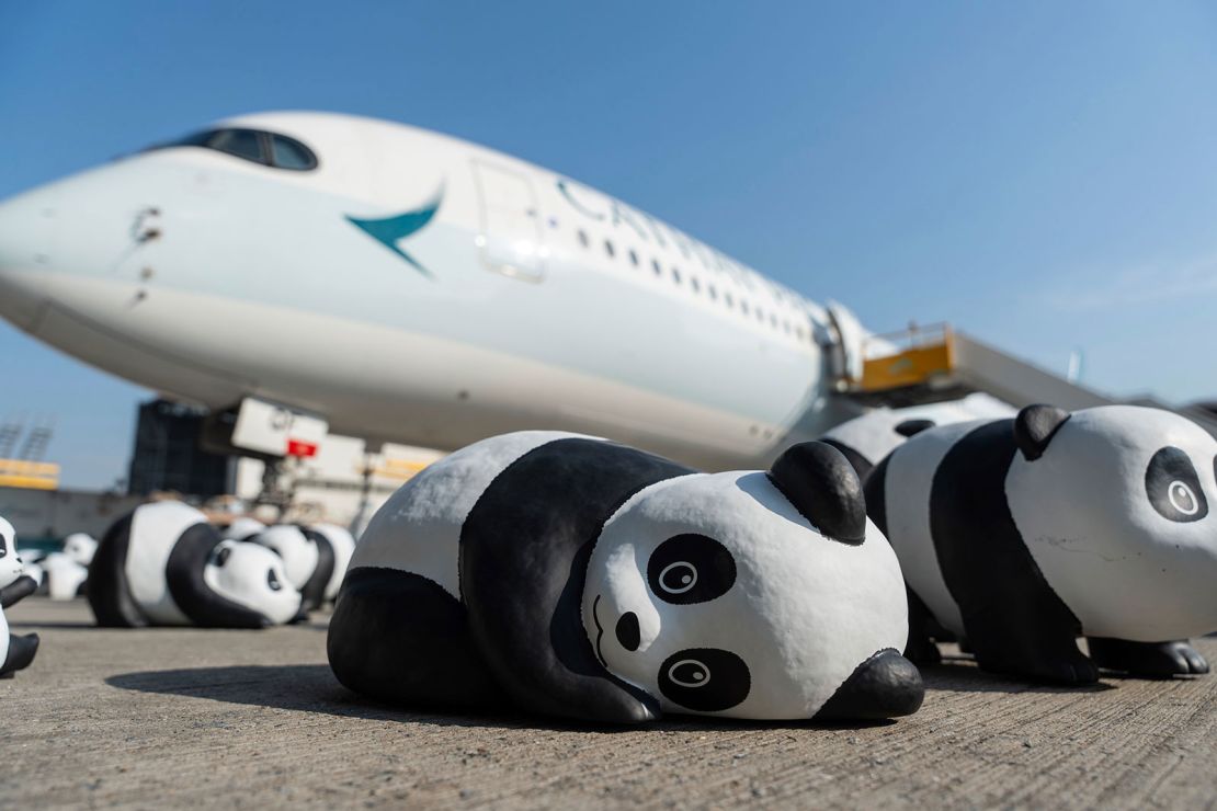 Pandas pictured at Monday's event.