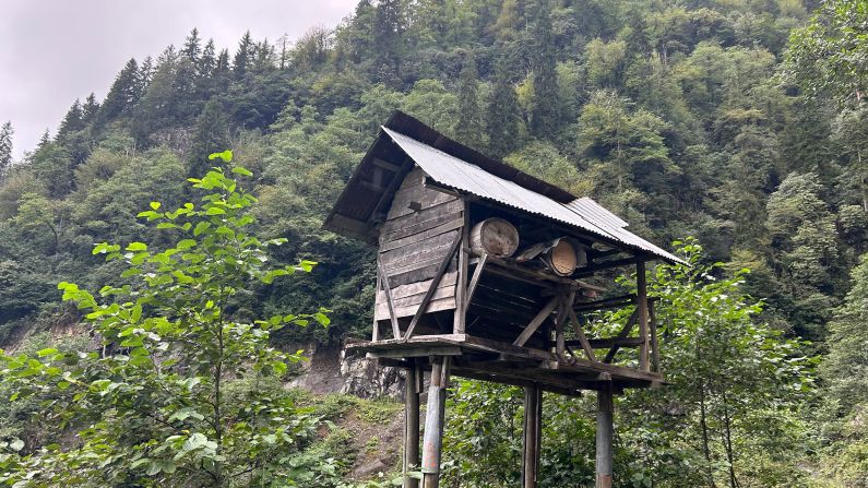 <strong>Beehives: </strong>The hives are kept on high stilts to prevent bears and other creatures getting at the sweet treat inside.