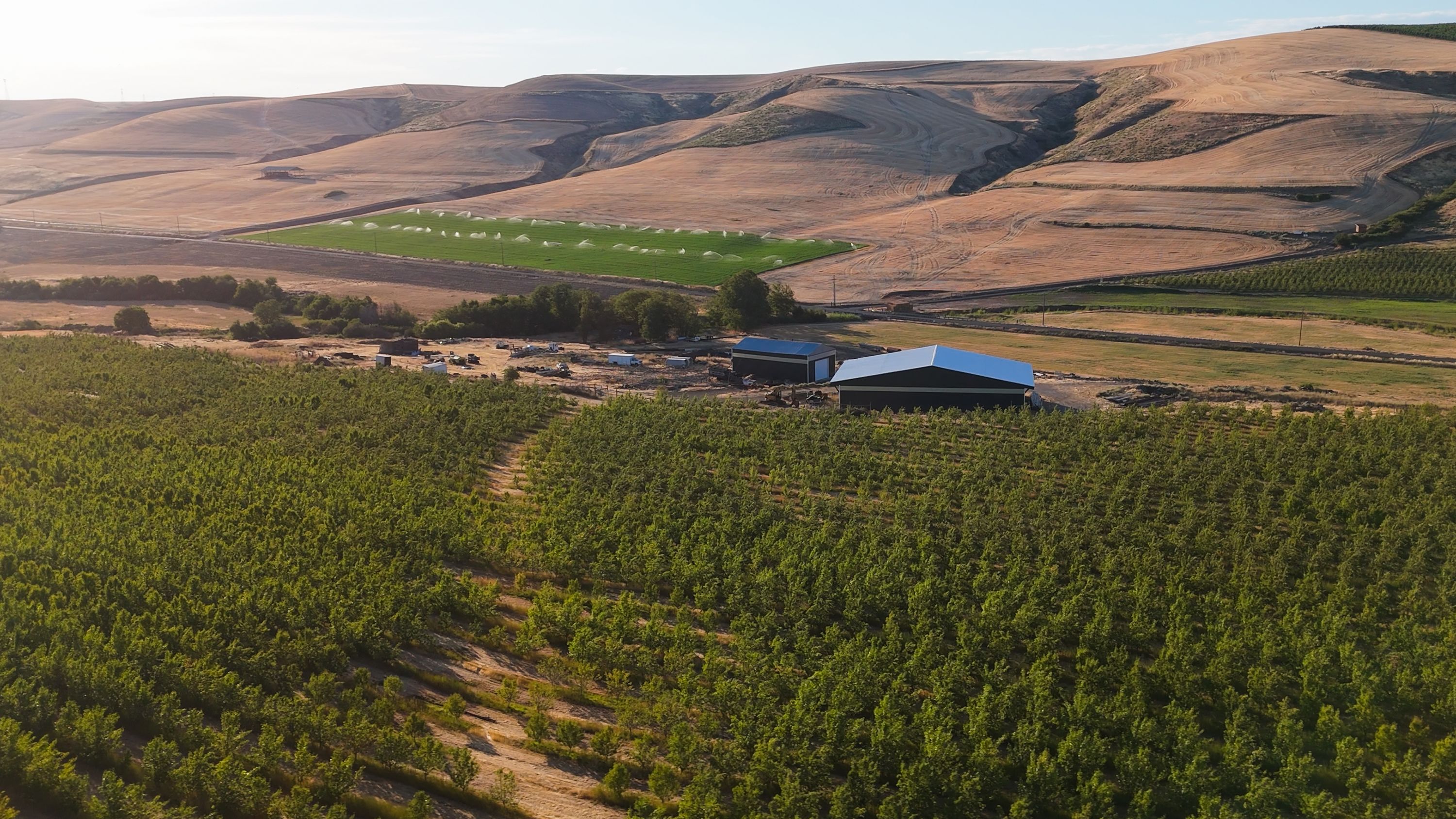 'We weren't able to harvest:' How ICE raids hundreds of miles away hit Oregon's farmers