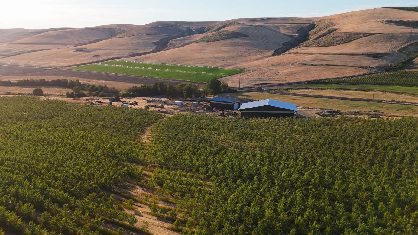 'We weren't able to harvest:' How ICE raids hundreds of miles away hit Oregon's farmers