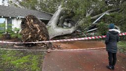 CALIFORNIA, USA - FEBRUARY 04: A giant tree fell on a house on El Grande Dr. in San Jose, as atmospheric river storms hit California, United States on February 4, 2024. (Photo by Tayfun Coskun/Anadolu via Getty Images)
