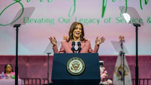 DALLAS, TEXAS - JULY 10: U.S. Vice President Kamala Harris speaks to Alpha Kappa Alpha Sorority members at the Kay Bailey Hutchison Convention Center on July 10, 2024 in Dallas, Texas. The Vice President spoke to approximately 20,000 members from her sorority in a continued effort to rally support ahead of the upcoming November Presidential election.  (Photo by Brandon Bell/Getty Images)