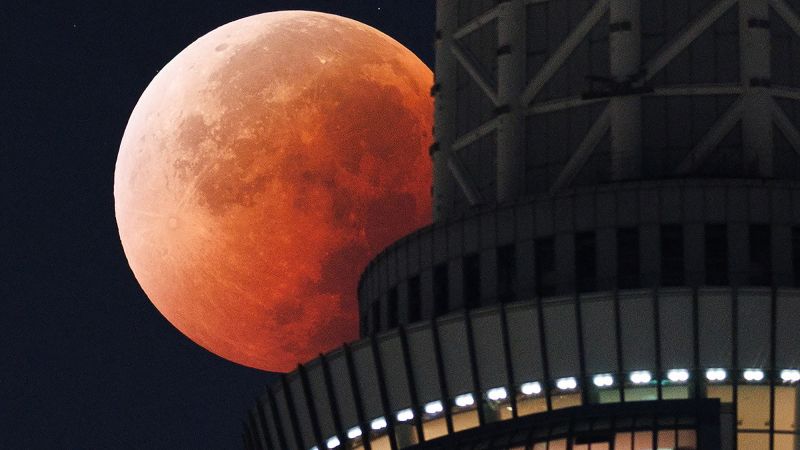 https://media.cnn.com/api/v1/images/stellar/prod/01-gettyimages-2233685613.jpg?c=16x9&q=w_800,c_fill