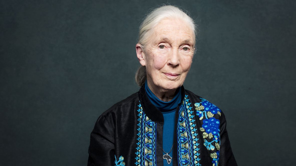 Jane Goodall poses for a portrait in 2017.