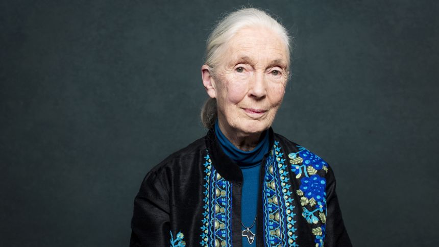 Jane Goodall poses for a portrait in 2017.