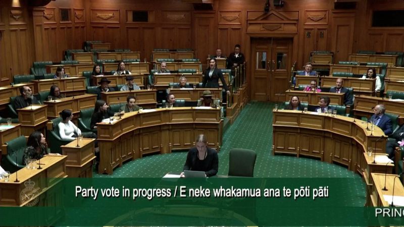 New Zealand MPs disrupt parliament with haka to protest Indigenous treaty bill | CNN