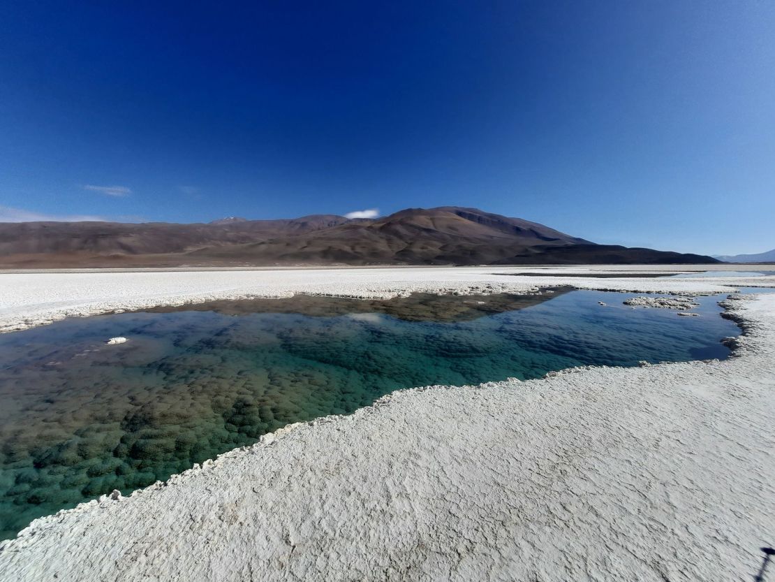 The giant stromatolites of Puna de Atacama represent the earliest fossil evidence for life on our planet, according to new research.
