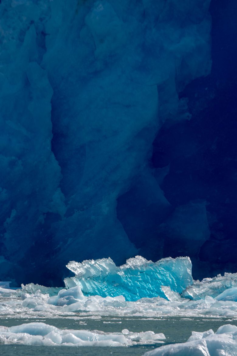 Icebergs float in front of the of the South Sawyer Glacier in Tracy Arm.