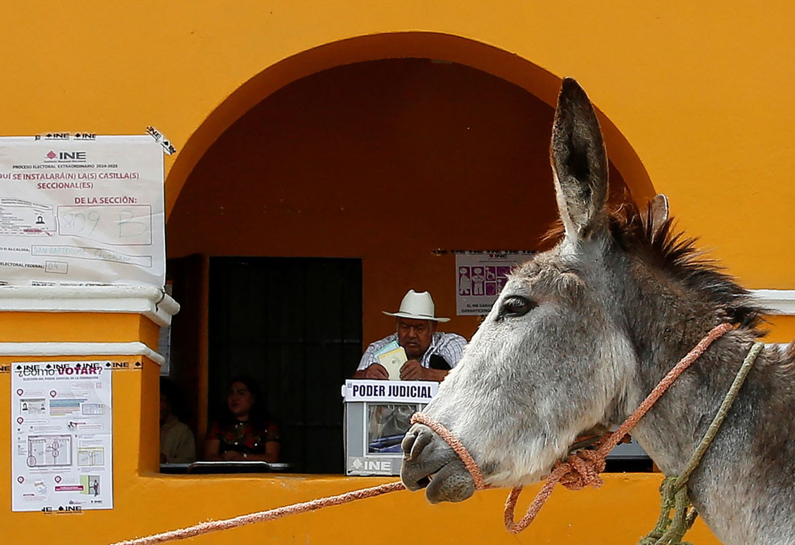 A donkey is led past a polling station as a man votes in San Bartolomé Quialana, Mexico, on Sunday, June 1. Mexico’s ruling party Morena will gain control of the Supreme Court following <a href="index.php?page=&url=https%3A%2F%2Fwww.cnn.com%2F2025%2F06%2F03%2Famericas%2Fmexico-morena-supreme-court-judicial-elections-intl-latam">the country’s first-ever judicial elections</a>, which were marred by low voter turnout and allegations of a power grab.