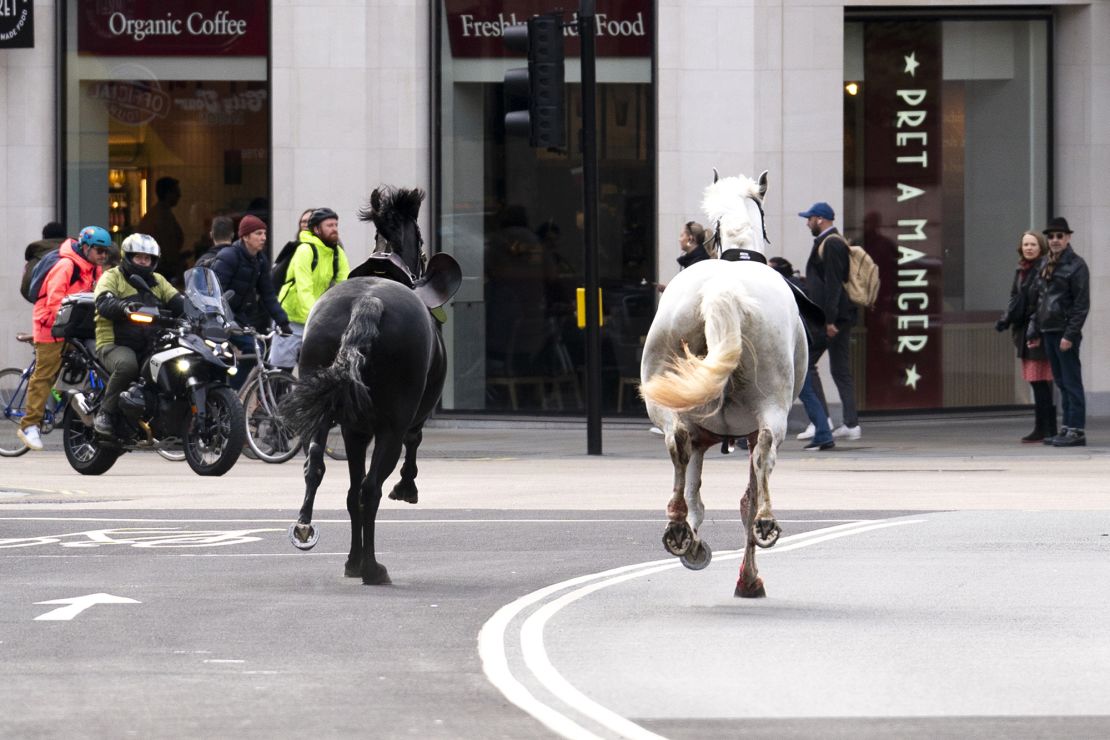 Footage emerged on social media on Wednesday of the horses running through central London.