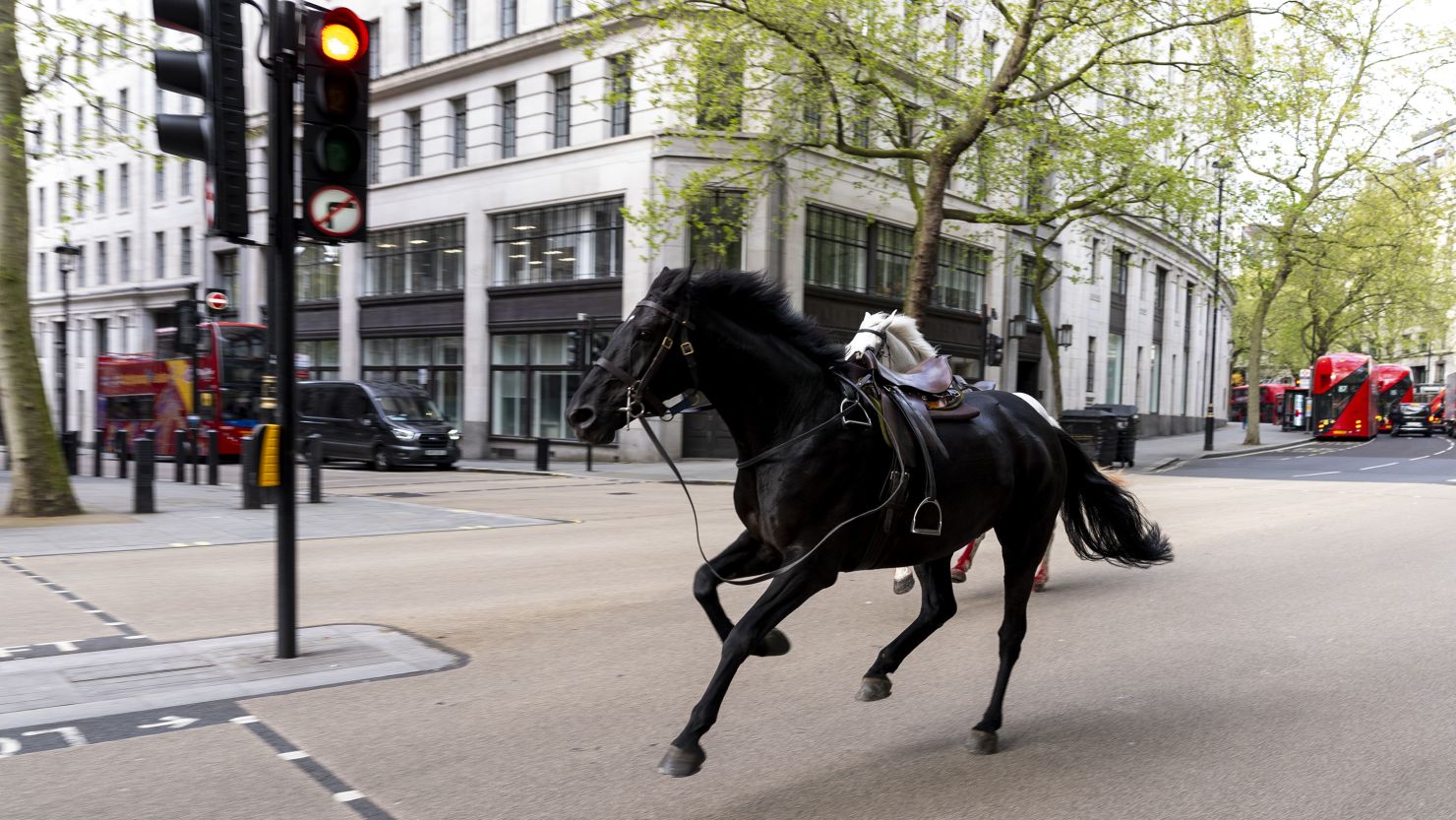 Two horses on the loose bolt through the streets of London near Aldwych on Wednesday April 24, 2024.