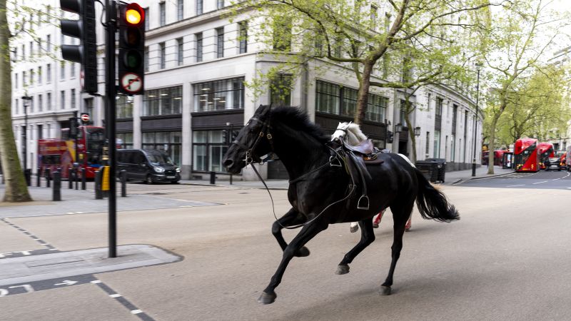 Редица коне са разхлабени в центъра на Лондон като армията