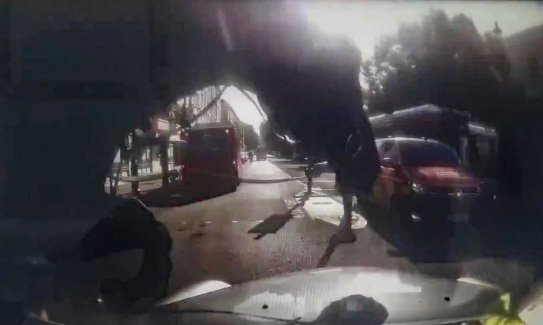 The horses were "swiftly and safely recovered," according to an Army spokesperson.