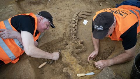 Undated handout photo issued by Waterloo Uncovered of Clive (left) and Rod uncovering the skeleton of an Ox during an archaeological excavation on the battlefield of Waterloo, Belgium. Archaeologists and military veterans have uncovered a "unique" clearance trench on the site of a field hospital on the Waterloo battlefield. Veteran support charity Waterloo Uncovered is carrying out a targeted excavation at Mont-Saint-Jean farm in Belgium, which served as the Duke of Wellington's field hospital during the battle in 1815.  Issue date: Tuesday September 10, 2024. PA Photo. See PA story HERITAGE Waterloo. Photo credit should read: Chris van Houts/PA Wire 

NOTE TO EDITORS: This handout photo may only be used in for editorial reporting purposes for the contemporaneous illustration of events, things or the people in the image or facts mentioned in the caption. Reuse of the picture may require further permission from the copyright holder. 

