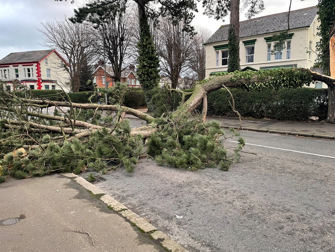 A fallen tree lies across a road in east Belfast, Northern Ireland, where some of the strongest winds were expected.