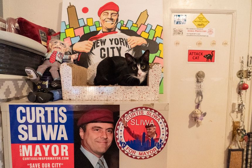 Curtis Sliwa with one of his cats