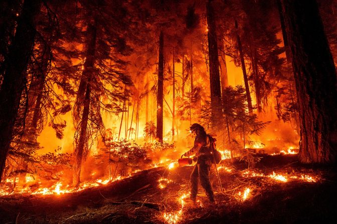 A firefighter uses a drip torch to burn vegetation while trying to stop the Park Fire from near Mill Creek in Tehama County, California, on August 7, 2024.