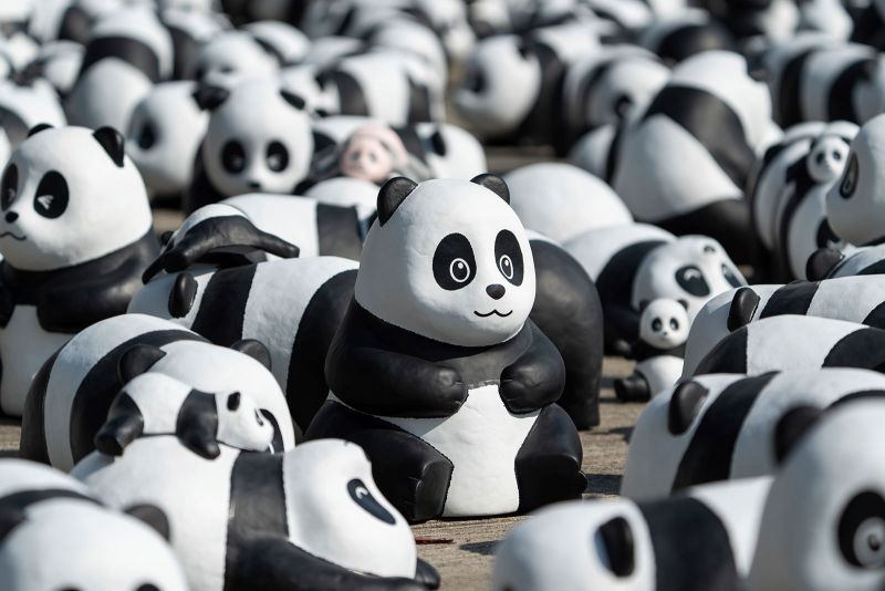 Hong Kong exibirá 2.500 esculturas de panda para capitalizar uma febre local por ursos. - jili slot