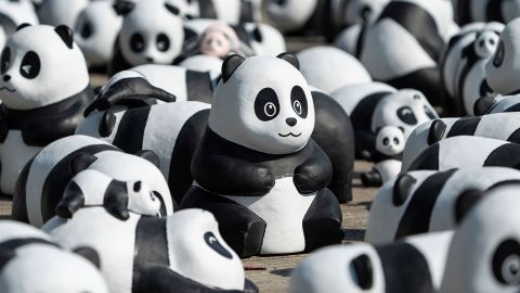 Part of 2500 panda sculptures are displayed at the Hong Kong International Airport during a welcome ceremony of the panda-themed exhibition "Panda Go!" in Hong Kong, Monday, Dec. 2, 2024. (AP Photo/Chan Long Hei)