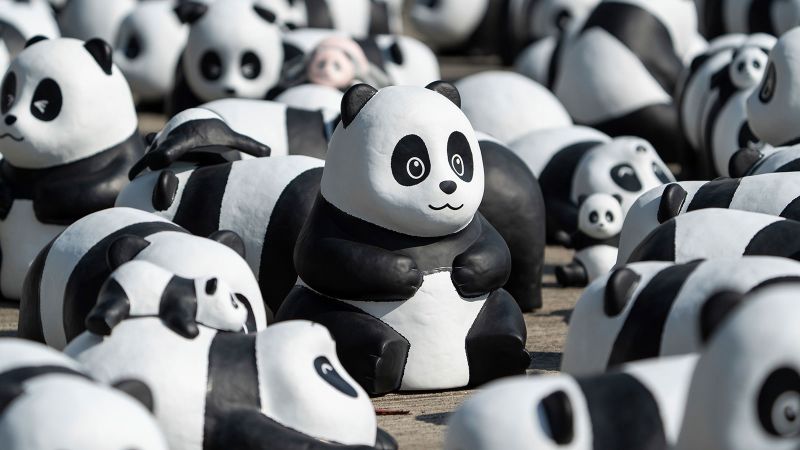 Hong Kong will display 2,500 panda sculptures to capitalize on a local bear craze