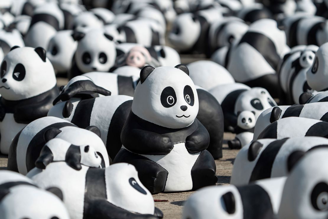 The panda sculptures will be installed at various sites in Hong Kong.