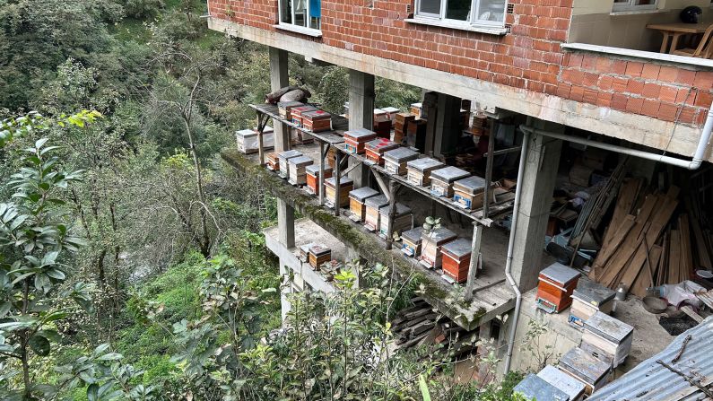 <strong>Box hives: </strong>At the Kutluata family home, box beehives are kept on the lower level, facing out towards the mountainside.