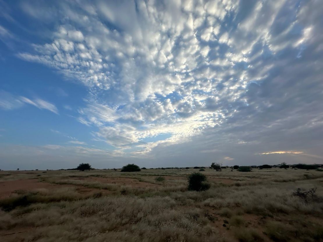 A view of North Darfur at the end of the rainy season. Under the threat of a broadening famine, this is a crucial harvest.