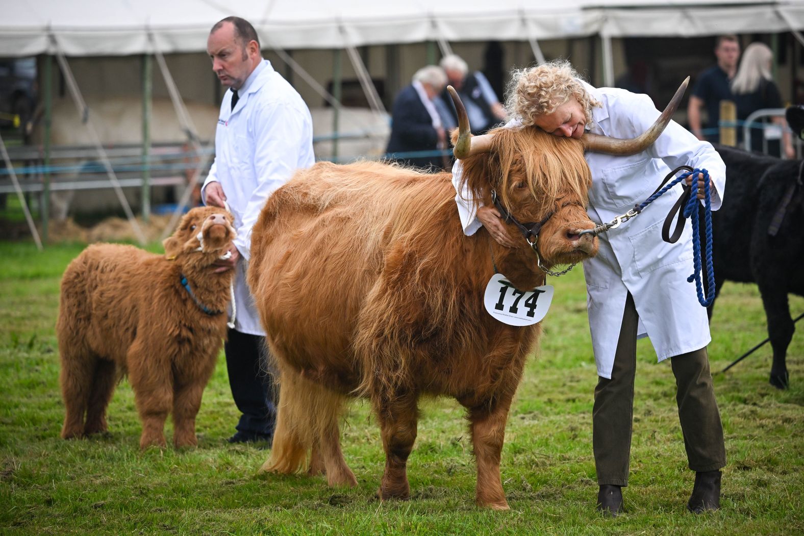 A woman hugs her Highland cow during judging at the Dorset County Show in Dorchester, England, on Saturday, September 2.