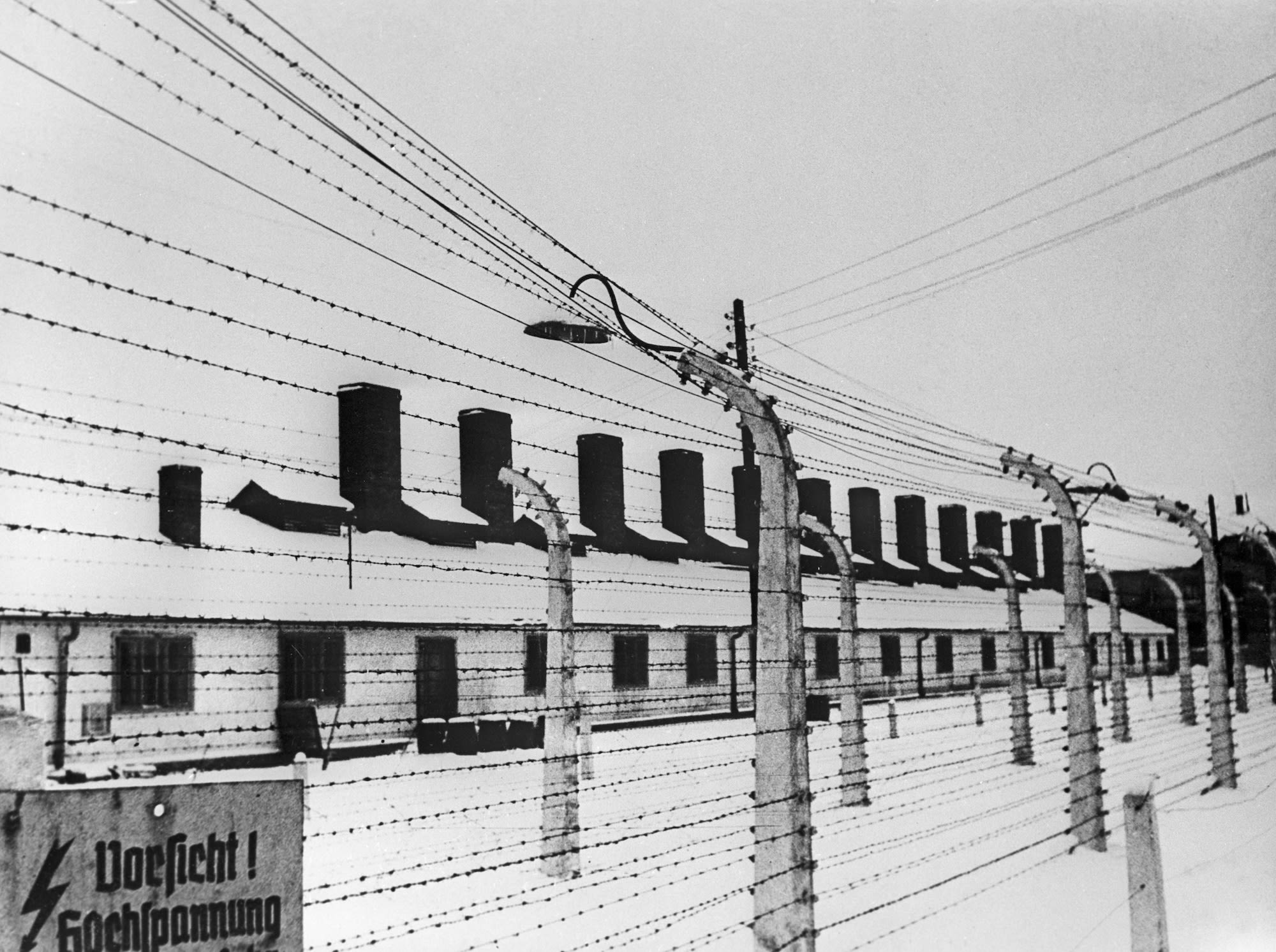 An electrified fence surrounds one of the camps.