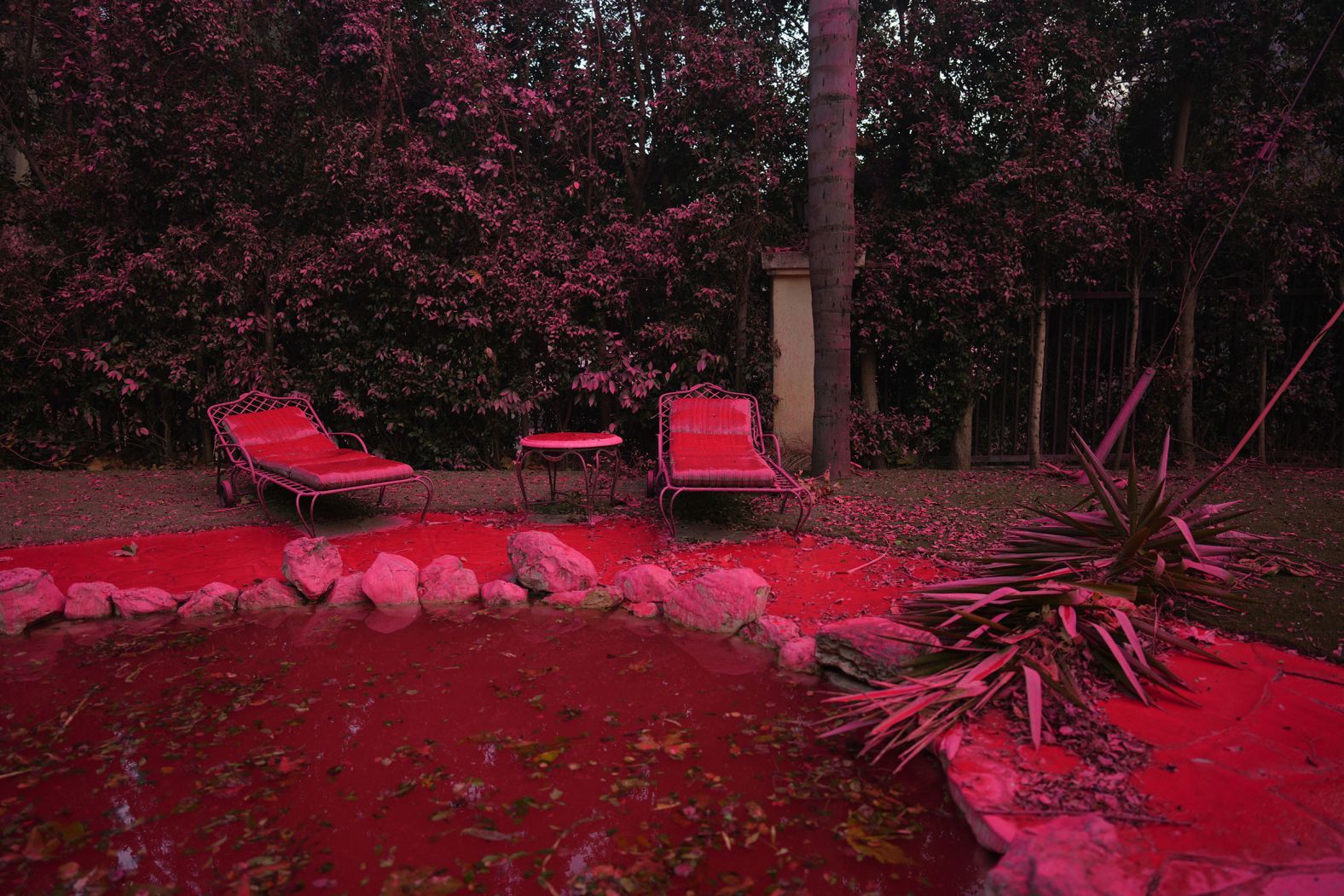 Fire retardant covers the backyard of a home in Mandeville Canyon.