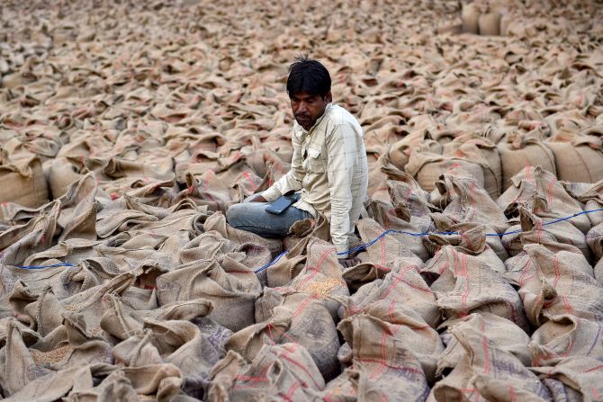 A laborer sits on sacks of wheat grain at a wholesale market in Jalandhar, India, on Monday, April 28.