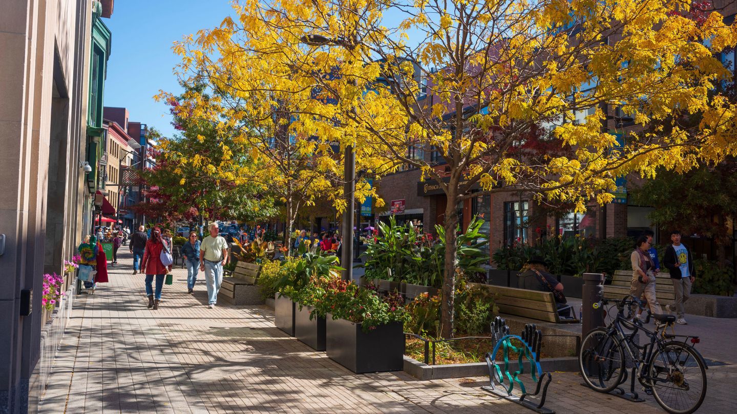 2KF639F Ithaca, NY, USA - Oct 24, 2022: The Downtown Ithaca Commons, seen here during the autumn season, is a four-block, pedestrian-only home to unique store