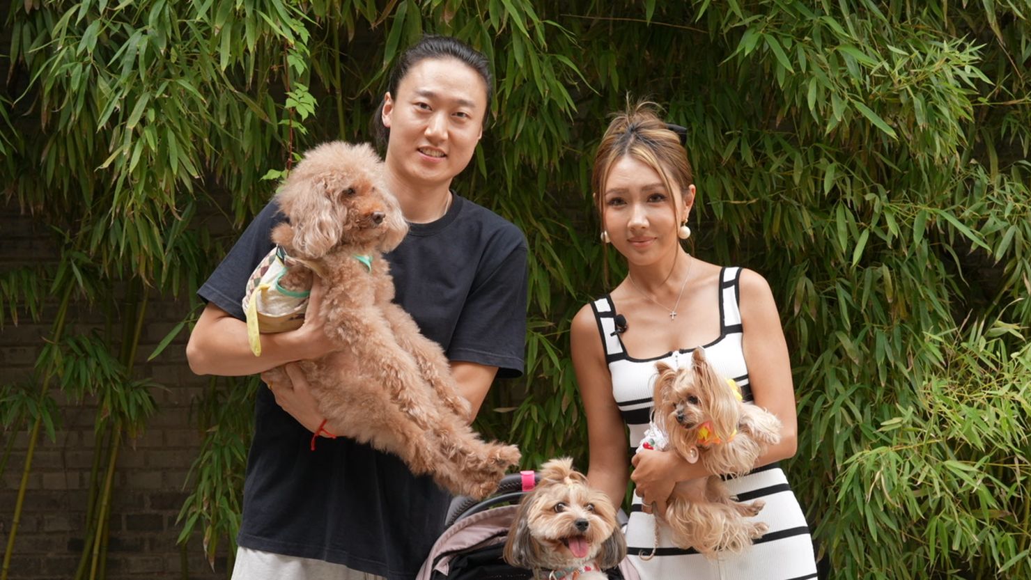 Hansen, left, and his wife Momo live with their six dogs in Beijing and no children.