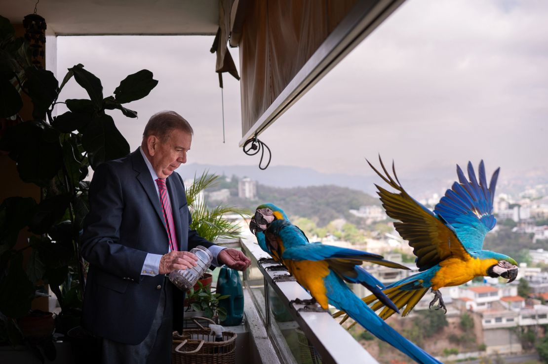 Edmundo Gonzalez Urrutia, Venezuela's new opposition candidate, feeds birds at his home in Caracas on Wednesday, April 24.